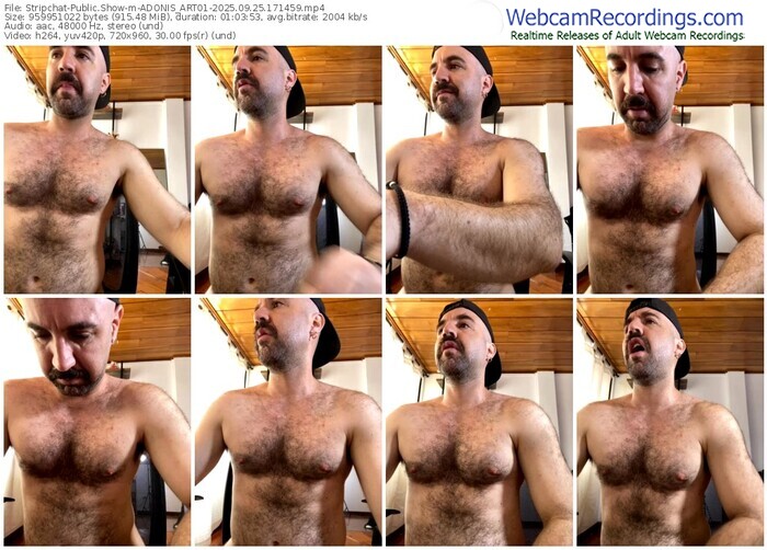 stripchat-adonis_art01-09-25-2025-17-14-59