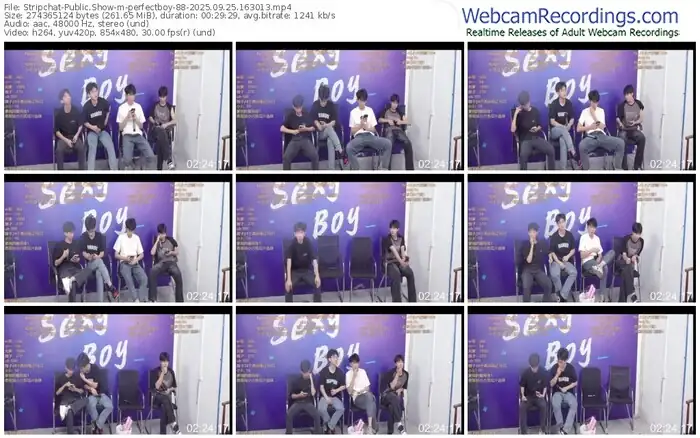 stripchat-perfectboy-88-09-25-2025-16-30-13