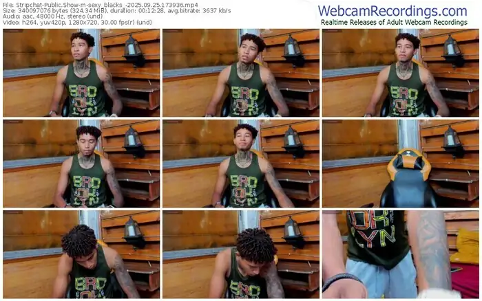 stripchat-sexy_blacks_-09-25-2025-17-39-36
