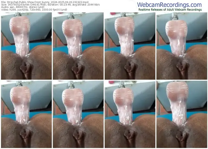 stripchat-hot_bunny_2024-09-26-2025-19-19-22