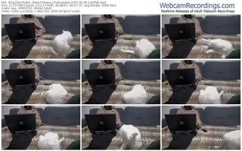 stripchat-rosea_champagne-09-26-2025-12-18-58