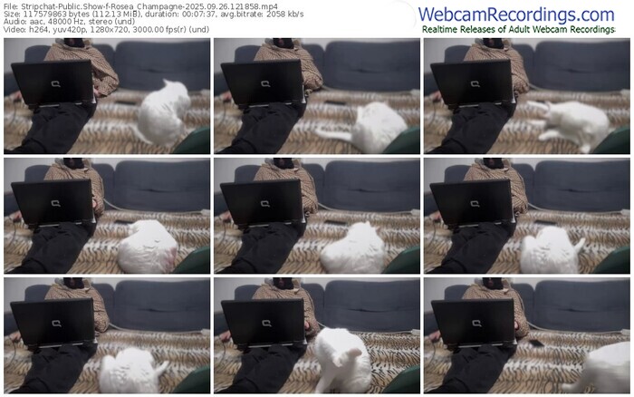 stripchat-rosea_champagne-09-26-2025-12-18-58