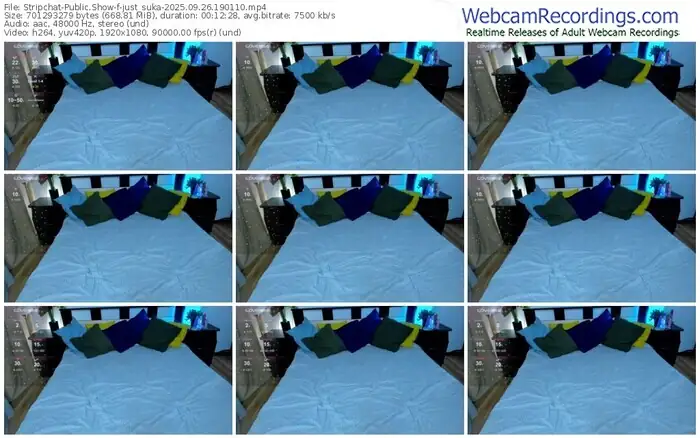 stripchat-just_suka-09-26-2025-19-01-10