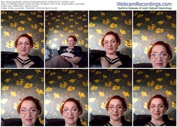 stripchat-melisaswan611-09-27-2025-14-58-47