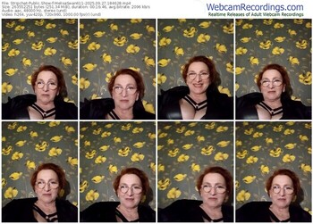 stripchat-melisaswan611-09-27-2025-18-46-28