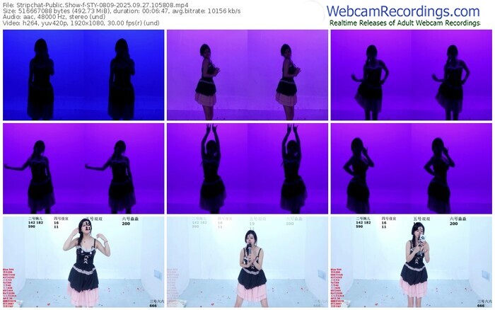 stripchat-sty-0809-09-27-2025-10-58-08
