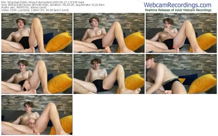 stripchat-dymonted-09-27-2025-17-15-30