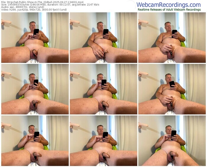 stripchat-the_oldbull-09-27-2025-13-40-01