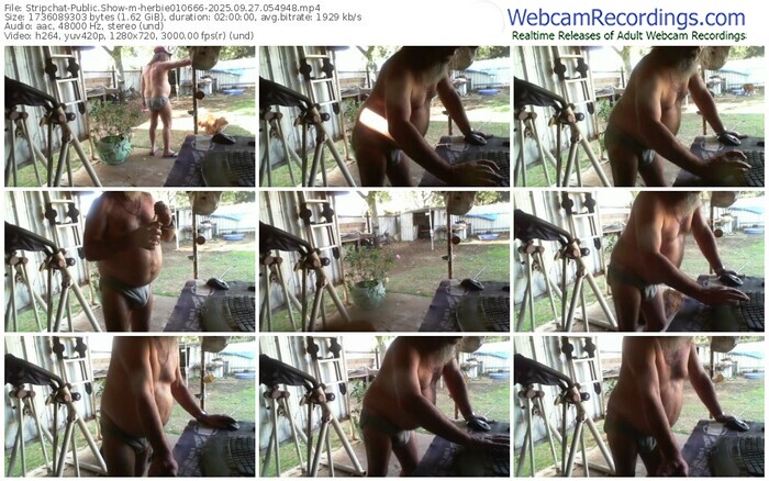 stripchat-herbie010666-09-27-2025-05-49-48