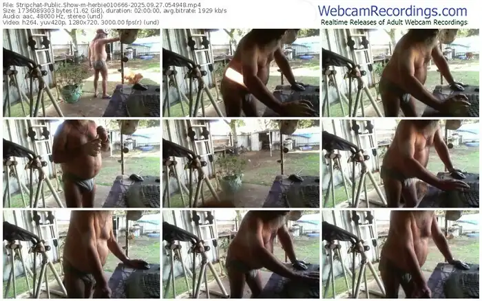 stripchat-herbie010666-09-27-2025-05-49-48