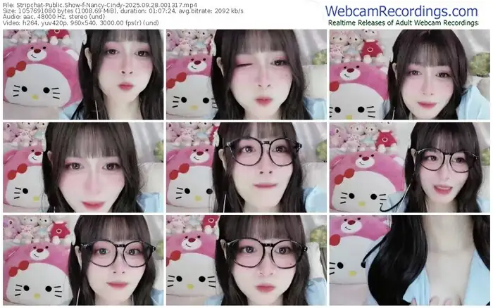 stripchat-nancy-cindy-09-28-2025-00-13-17
