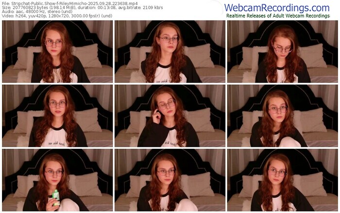 stripchat-rileymimicho-09-28-2025-22-36-38