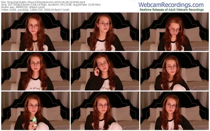 stripchat-rileymimicho-09-28-2025-22-36-38