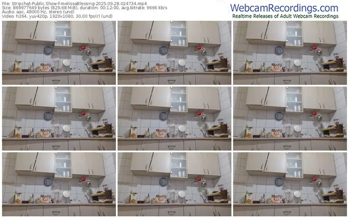 stripchat-melissablessing-09-28-2025-02-47-34