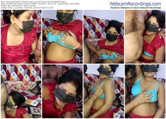 stripchat-sexy_11449-09-28-2025-08-39-40