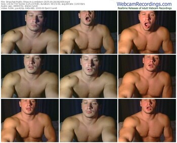 stripchat-lionedwin-09-28-2025-08-24-39