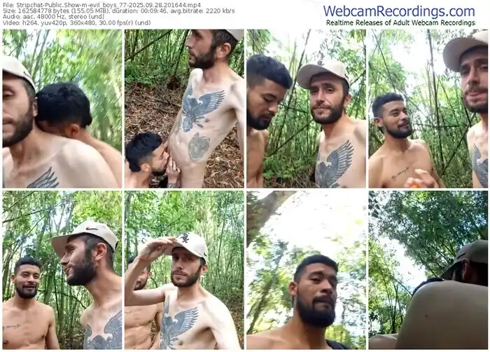 stripchat-evil_boys_77-09-28-2025-20-16-44