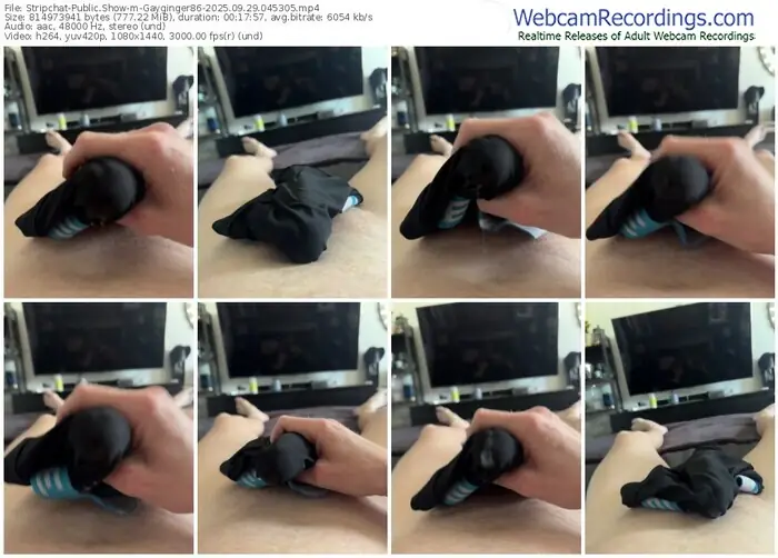 stripchat-gayginger86-09-29-2025-04-53-05