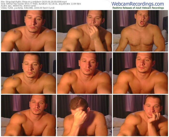 stripchat-lionedwin-09-29-2025-05-43-08