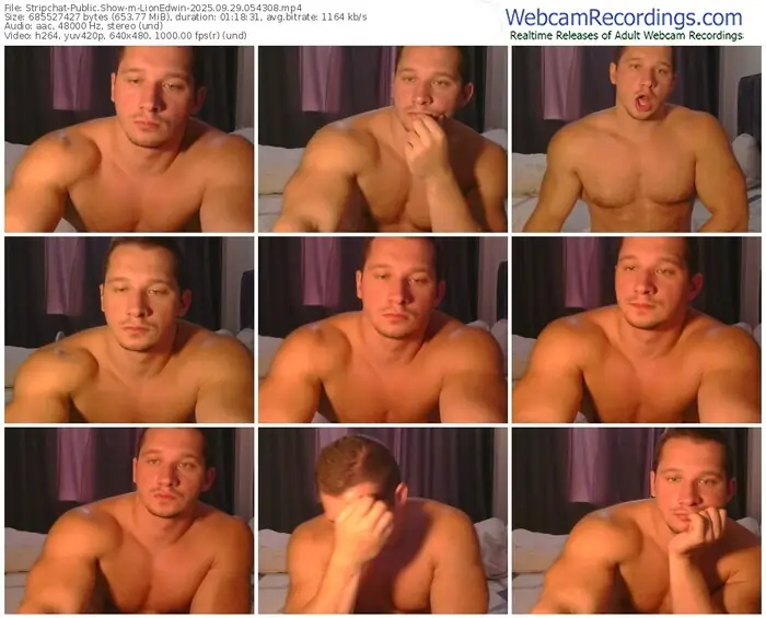 stripchat-lionedwin-09-29-2025-05-43-08