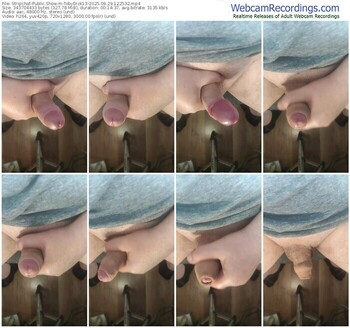 stripchat-tobydick13-09-29-2025-12-25-32