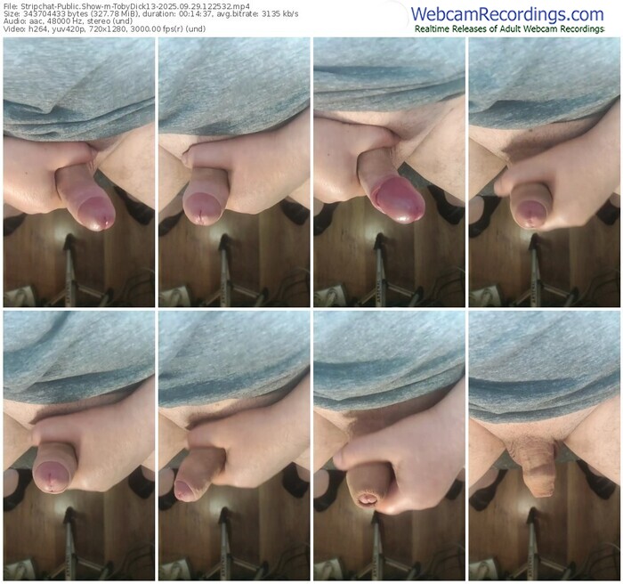 stripchat-tobydick13-09-29-2025-12-25-32