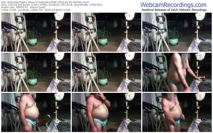 stripchat-herbie010666-09-30-2025-09-40-41