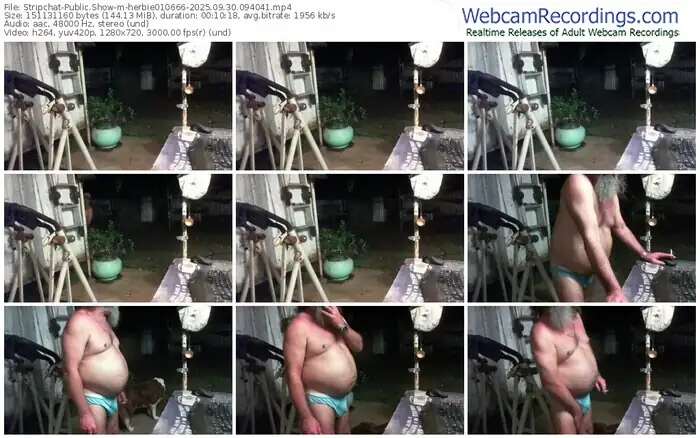 stripchat-herbie010666-09-30-2025-09-40-41