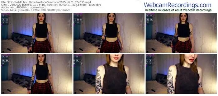 stripchat-wilonedimmick-10-01-2025-07-40-35