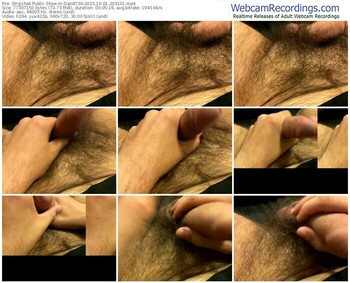 stripchat-dan8736-10-01-2025-20-31-01