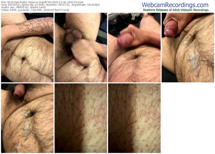 stripchat-dan8736-10-01-2025-23-41-23