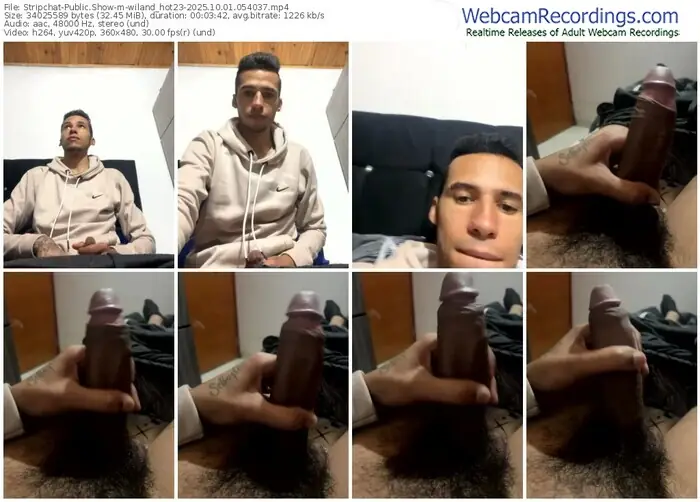 stripchat-wiland_hot23-10-01-2025-05-40-37