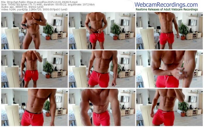 stripchat-woolfiie-10-01-2025-09-26-15