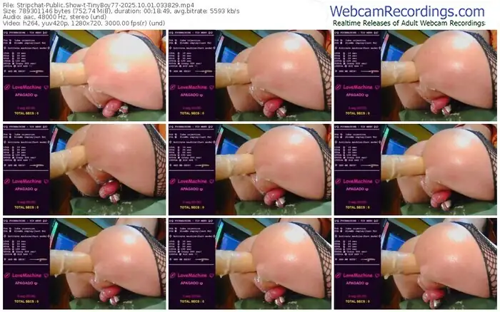 stripchat-tinyboy77-10-01-2025-03-38-29