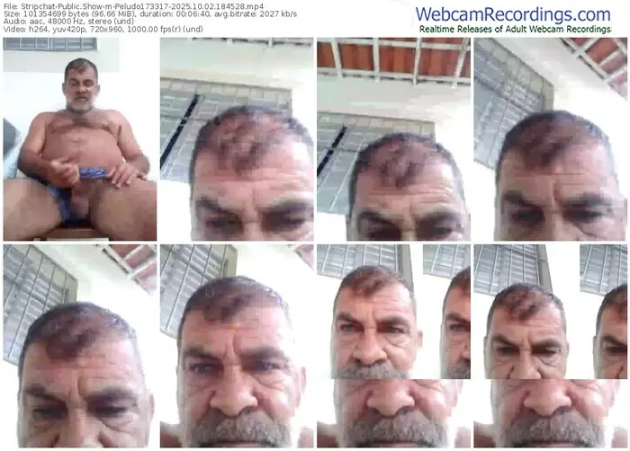 stripchat-peludo173317-10-02-2025-18-45-28