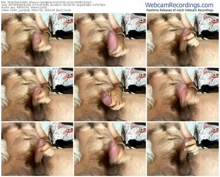 stripchat-sandphg-mod-10-02-2025-06-08-14