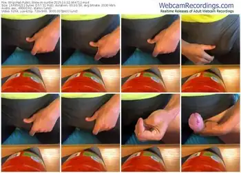 stripchat-sunbe-10-02-2025-06-47-12