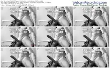 stripchat-teninchty-10-02-2025-05-47-09