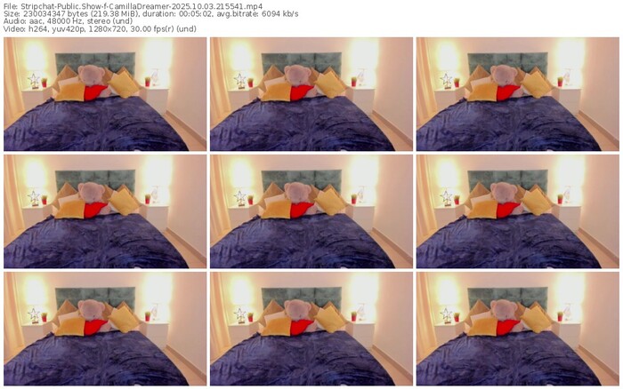 stripchat-camilladreamer-10-03-2025-21-55-41