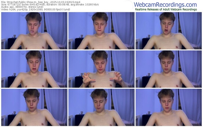 stripchat-_bee_boy_-10-03-2025-19-20-23