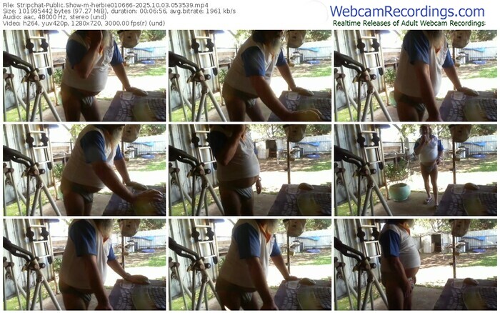 stripchat-herbie010666-10-03-2025-05-35-39