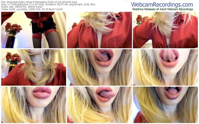 stripchat-politeeliza-10-04-2025-20-24-35