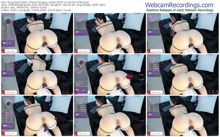 stripchat-angiee_roses-10-04-2025-01-51-08