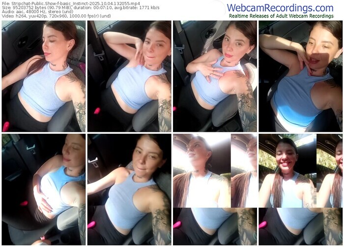 stripchat-basic_instinct-10-04-2025-13-20-55