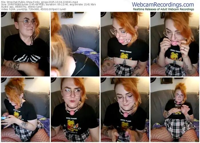 stripchat-inky_ginge-10-04-2025-22-40-41