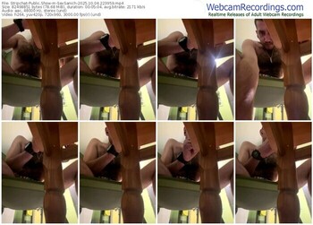 stripchat-sexsanich-10-04-2025-22-39-59