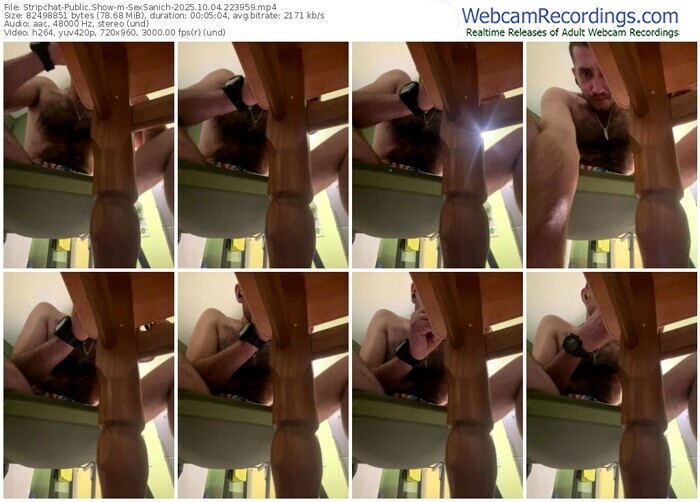 stripchat-sexsanich-10-04-2025-22-39-59