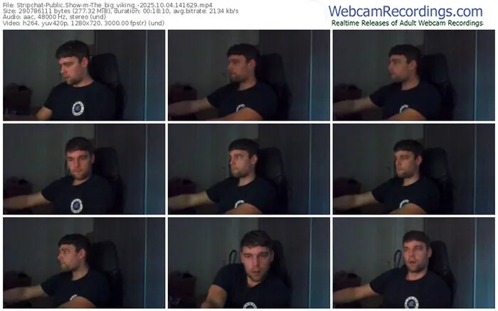 stripchat-the_big_viking_-10-04-2025-14-16-29