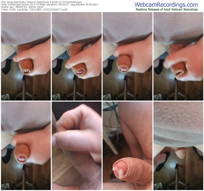 stripchat-tobydick13-10-04-2025-09-24-34