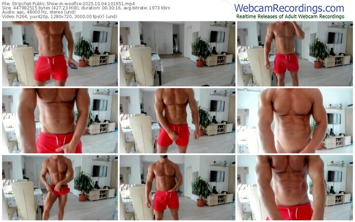 stripchat-woolfiie-10-04-2025-10-16-51